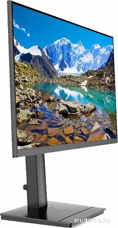 Монитор Fplus MO-24F129-HD