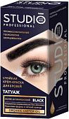 Краска для бровей Studio Professional с эффектом татуажа (экстра-черный)