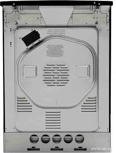 Кухонная плита Hansa FCCM58209H