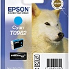 Картридж Epson C13T09624010