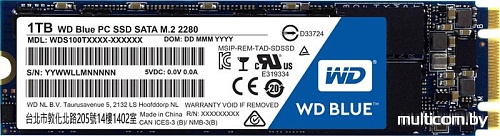 SSD WD Blue PC 1TB [WDS100T1B0B]