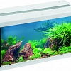 Аквариумный набор Eheim Aquastar Led 54 л (белый)