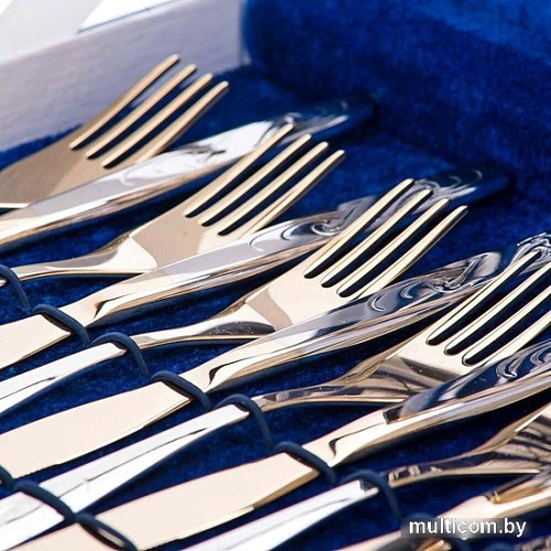 Набор столовых приборов Нытва Лира М14 3024 (24 пр)