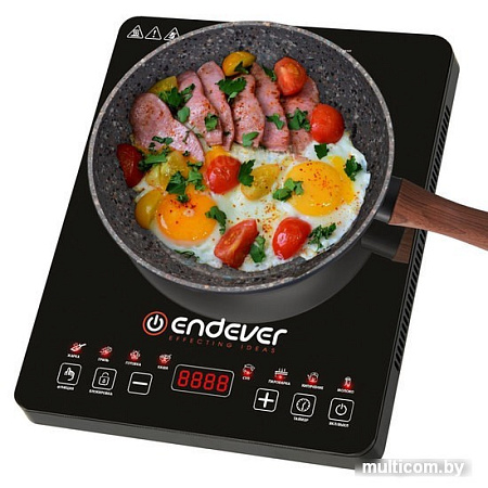 Настольная плита Endever Skyline IP-58