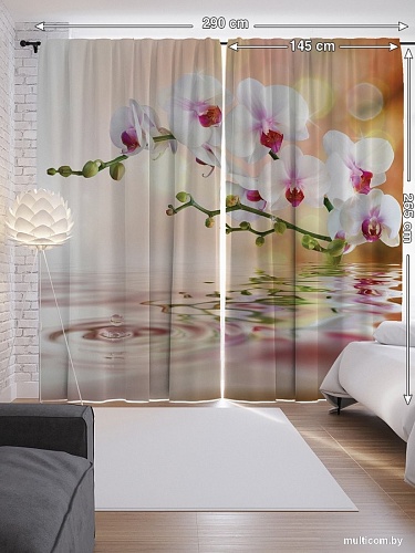 JoyArty Нежная орхидея p_2601