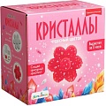 Набор для опытов Bumbaram Кристаллы. Чудесный цветок красный A127