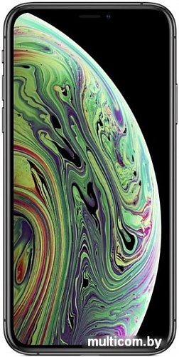 Смартфон Apple iPhone XS 512GB (серый космос)