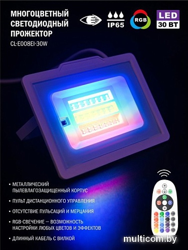 Уличный прожектор ArtStyle CL-E008EI-30W