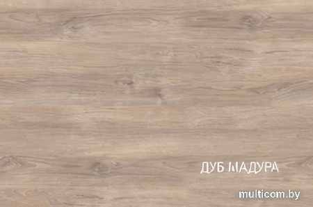 Шкаф распашной Anrex Milan 203 (дуб мадура)