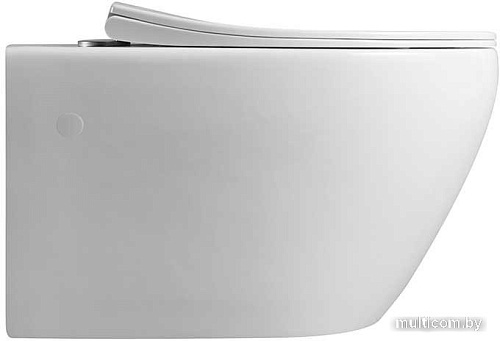 Унитаз Vincea Felice VT1-25 (белый)