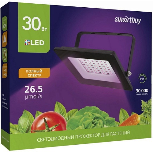 SmartBuy SBL-FLFITO-30-65K