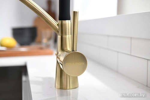 Смеситель Paulmark Siegen Si213111-BR (бронза/черный)