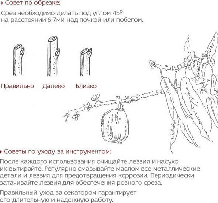 Секатор Frut Club 402218