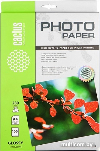 Фотобумага CACTUS Глянцевая A4 230 г/кв.м. 100 листов (CS-GA4230100)