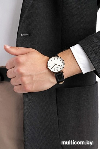 Наручные часы Pierre Cardin PC902651F08