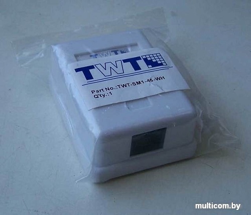 Розетка компьютерная TWT TWT-SM1-45-WH