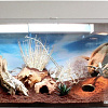Террариум Lucky Reptile Стартовый комплект для гекконов SK50DG-W (белый)
