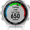 Умные часы Garmin Fenix 5S Plus Sapphire (белый)