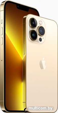 Смартфон Apple iPhone 13 Pro 128GB (золотой)