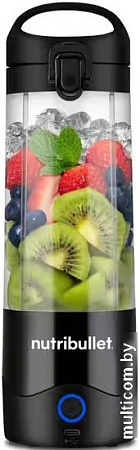 Портативный блендер NutriBullet NBP003B