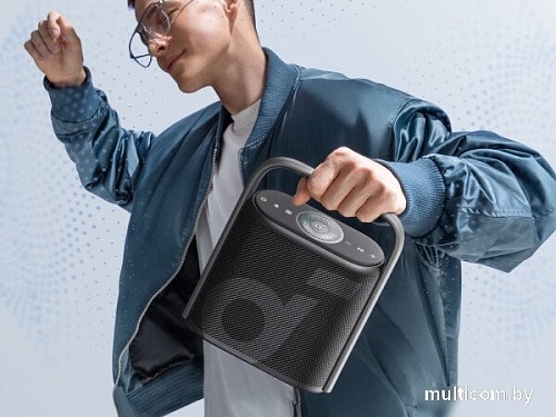 Беспроводная колонка Anker SoundCore Motion X500 (черный)