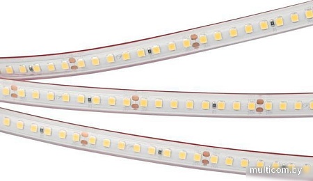 Светодиодная лента Arlight RTW-PS-A160-10mm 024558(2)