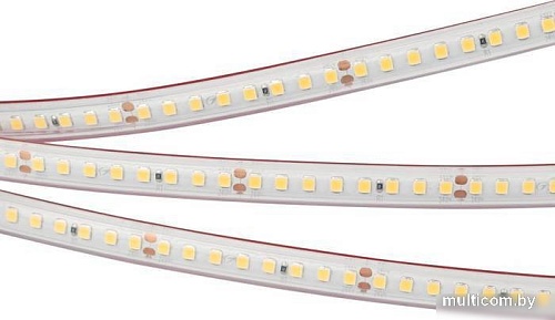 Светодиодная лента Arlight RTW-PS-A160-10mm 024558(2)