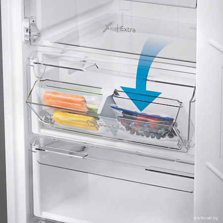 Морозильник Indesit DFZ 4150.1 G