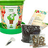 Набор для опытов Happy plant Горох сахарный hpn-35