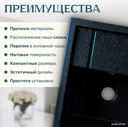 Кухонная мойка Saniteco Fortis (черный)