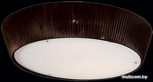 Люстра Citilux 913 CL913142