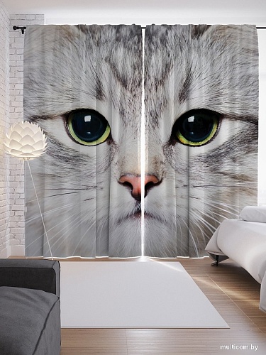 JoyArty Суровый котик p_2736