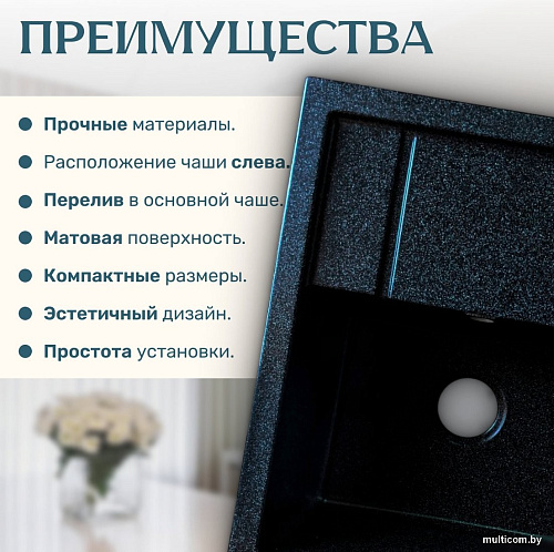 Кухонная мойка Saniteco Fortis (черный)