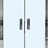 Душевая дверь WeltWasser WW600 600K2-100