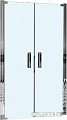 Душевая дверь WeltWasser WW600 600K2-100