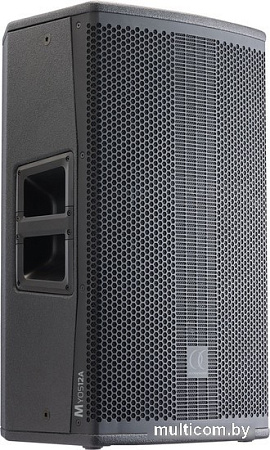 Активная акустика Audiophony Myos12A