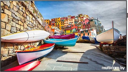 Информационная панель Samsung PM55H