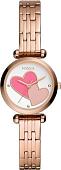 Наручные часы Fossil BQ3697