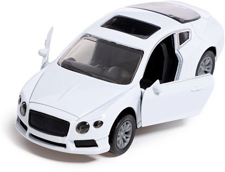 Легковой автомобиль Автоград Купе F1139-1M 9841239