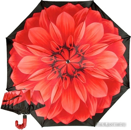 Зонт Pasotti Auto Georgin Rosso Pelle