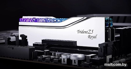 Оперативная память G.Skill Trident Z5 Royal 2x32ГБ DDR5 6400МГц F5-6400J3239G32GX2-TR5S