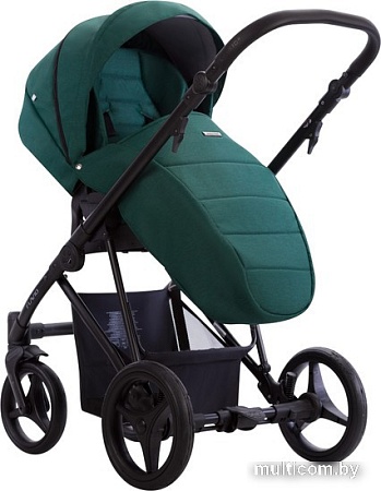 Универсальная коляска BEBETTO Flavio (2 в 1, 12)