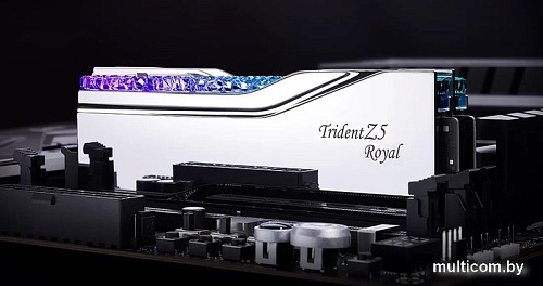 Оперативная память G.Skill Trident Z5 Royal 2x32ГБ DDR5 6400МГц F5-6400J3239G32GX2-TR5S