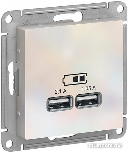 Розетка USB Schneider Electric Atlas Design ATN000433