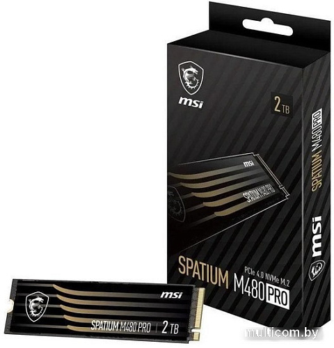 SSD MSI Spatium M480 Pro 2TB S78-440Q600-P83