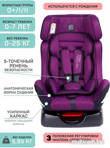 Детское автокресло Amarobaby Professional (фиолетовый)