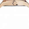 Наручные часы Timex TW2R69600