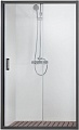 Душевая дверь Aquatek AQ ARI RA 10020BL 100x200 (черный/прозрачное стекло)