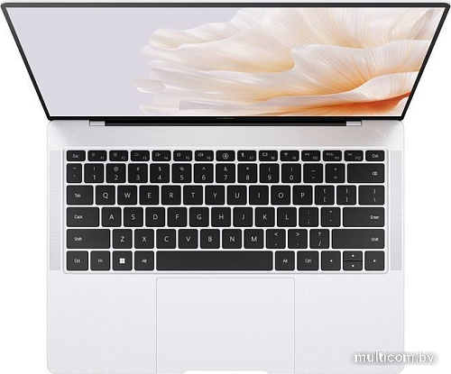 Ноутбук Huawei MateBook X Pro 2023 MorganG-W7611TM 53013SJT