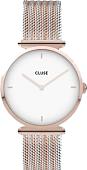 Наручные часы Cluse Triomphe CW0101208001